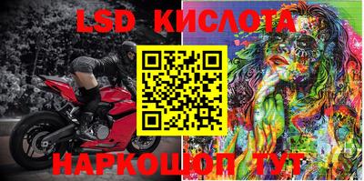 стаф Будённовск