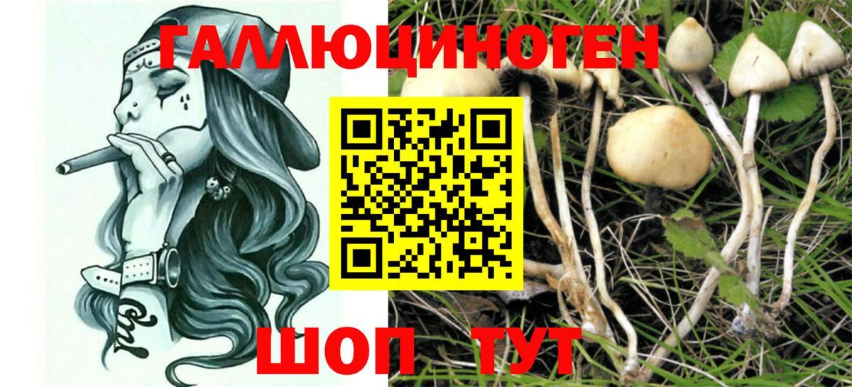 Славянск-на-Кубани  Галлюциногенные грибы прущие грибы  Вход с VPN 