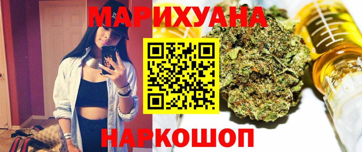 Конопля гибрид Славянск-на-Кубани